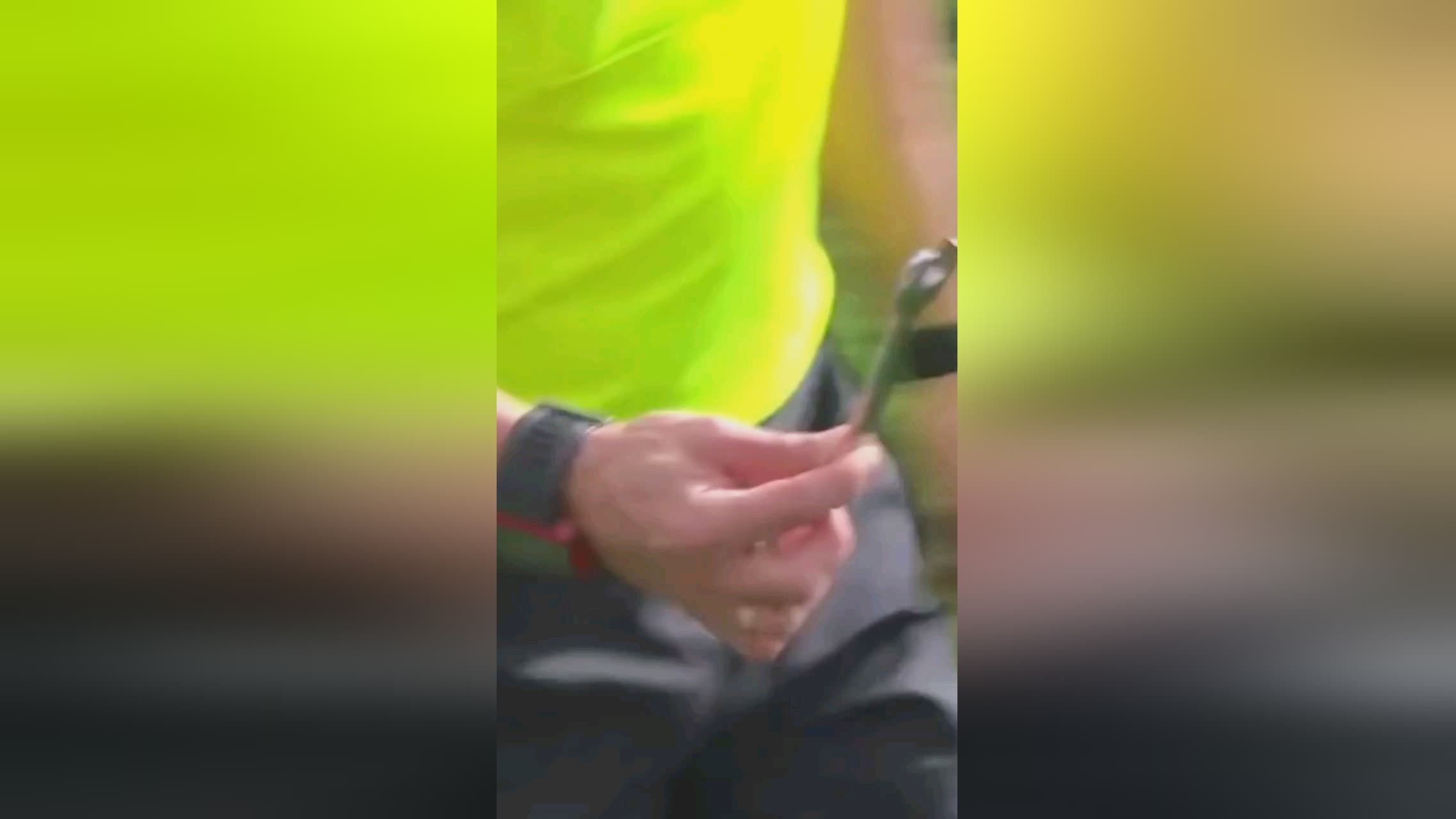 种团队合作